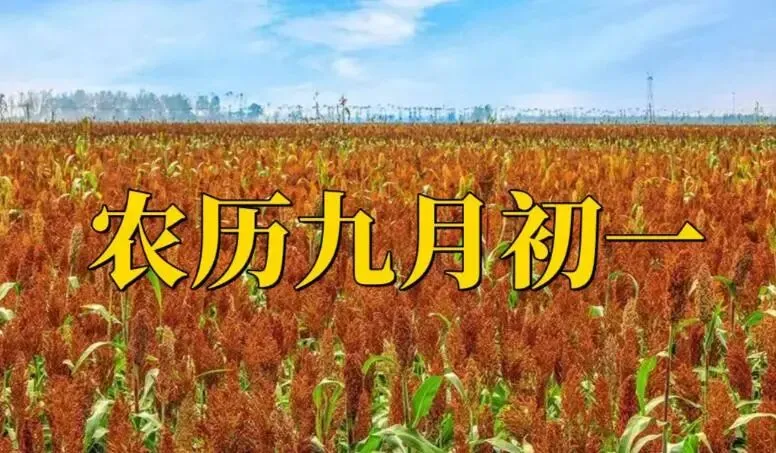 【民俗】九月初一-第8张图片-四季读书网