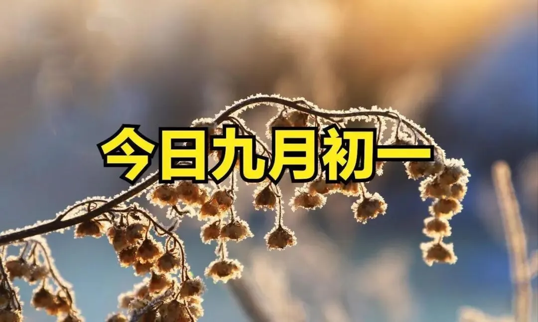 【民俗】九月初一-第9张图片-四季读书网