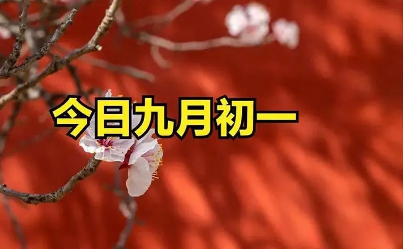【民俗】九月初一-第14张图片-四季读书网