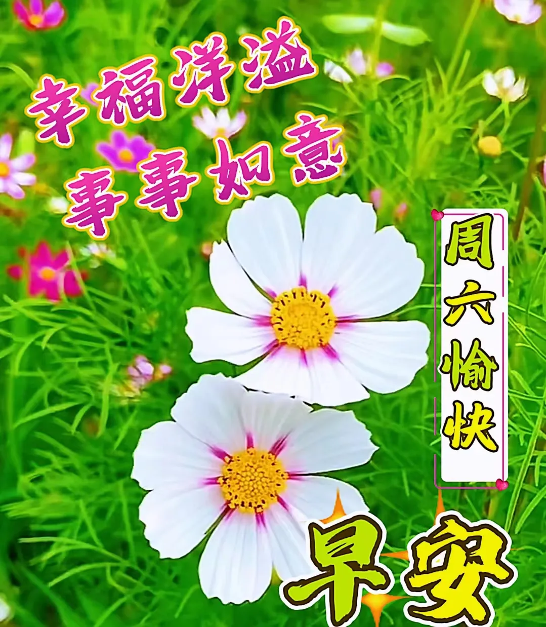 10月10日农历九月初一崭新早安问候吉祥语,最漂亮早上好图片大全早安心语问候大家-第9张图片-四季读书网 10月10日农历九月初一崭新早安问候吉祥语,最漂亮早上好图片大全早安心语问候大家-第9张图片-四季读书网