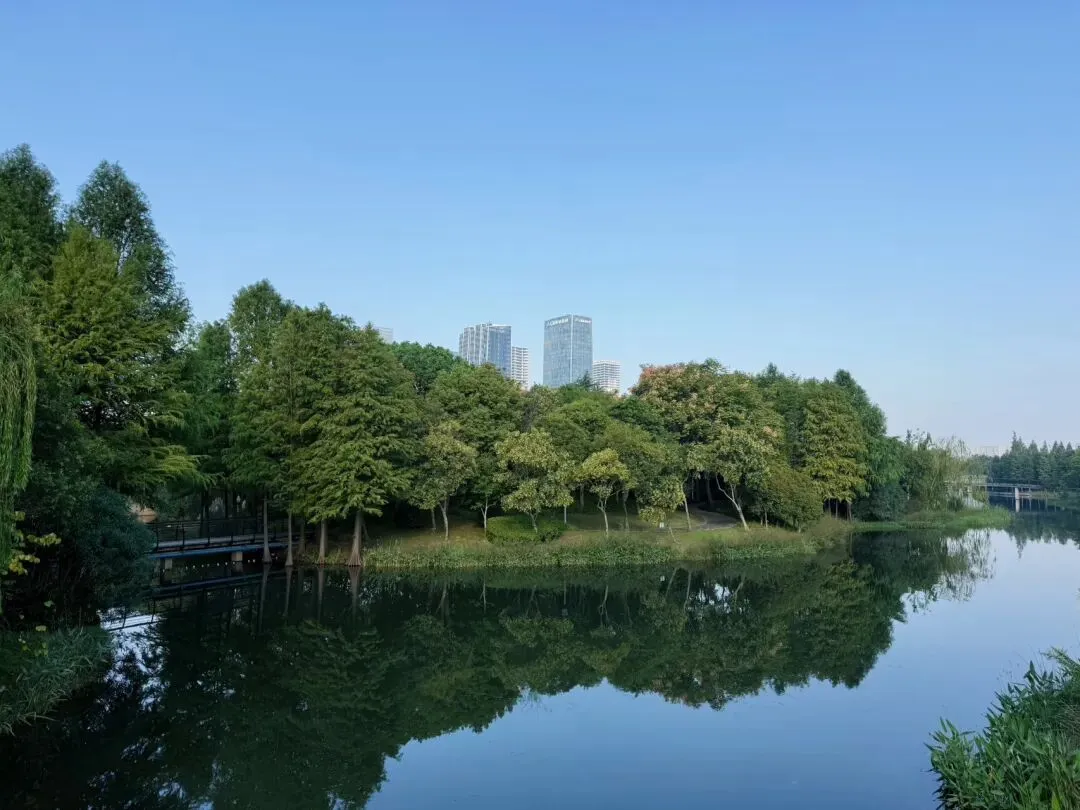 陪伴高三生的细碎时光|2027年高考倒计时241天-第4张图片-四季读书网