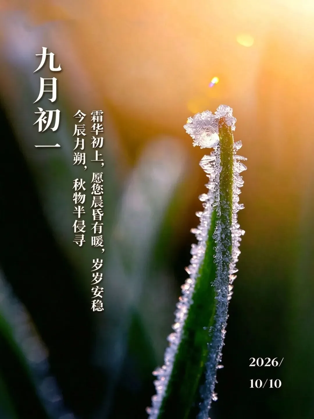 九月初一到了,今冬冷不冷?我爷爷说就看这一天,几个兆头早看早知道-第1张图片-四季读书网 九月初一到了,今冬冷不冷?我爷爷说就看这一天,几个兆头早看早知道-第1张图片-四季读书网