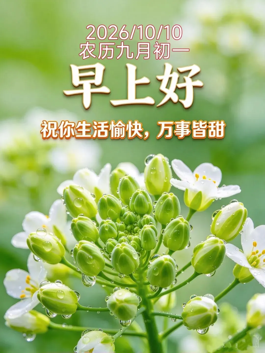 10月9日农历九月初一:老话说“七月流火,九月授衣”,今天该把棉袄翻出来晒一晒了-第3张图片-四季读书网