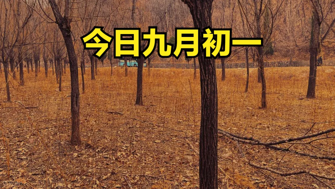 不是迷信!今日九月初一,牢记:1不去、2不吃、3不睡,别大意了-第1张图片-四季读书网
