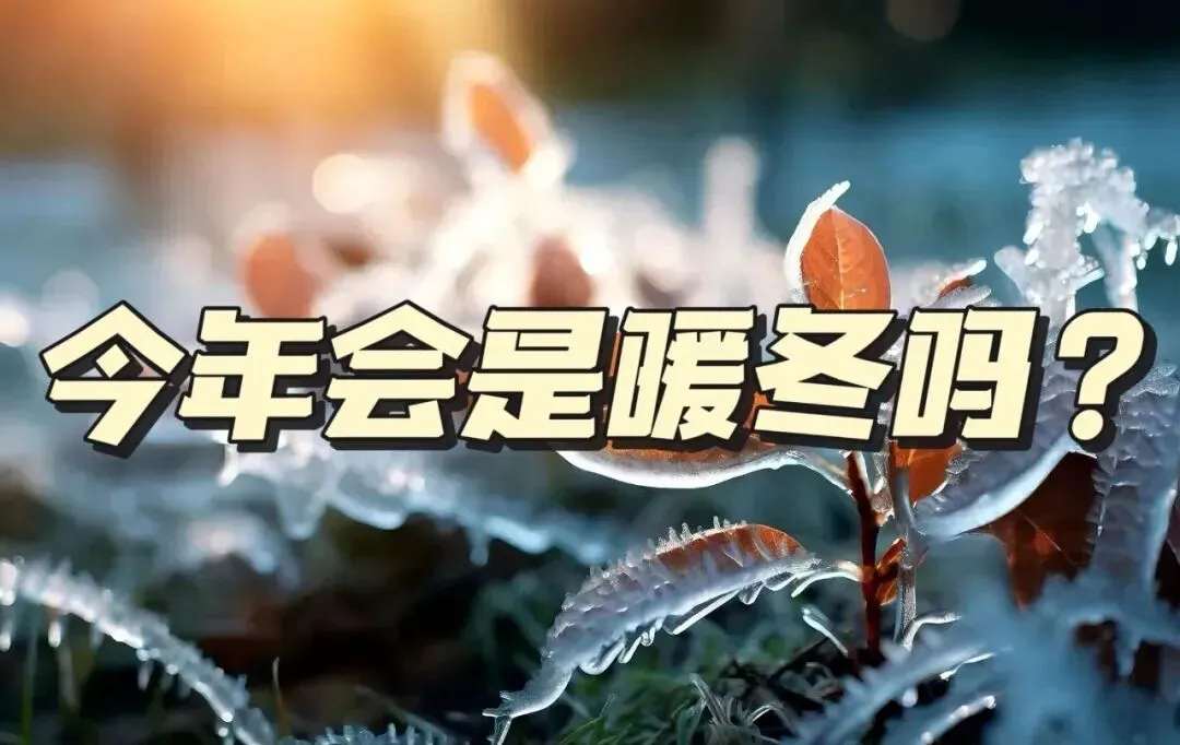 “不怕九月初一晴,就怕九月初一雨”,下雨有什么说法?会是暖冬吗?今年冬天可能比你想的更复杂-第3张图片-四季读书网 “不怕九月初一晴,就怕九月初一雨”,下雨有什么说法?会是暖冬吗?今年冬天可能比你想的更复杂-第3张图片-四季读书网