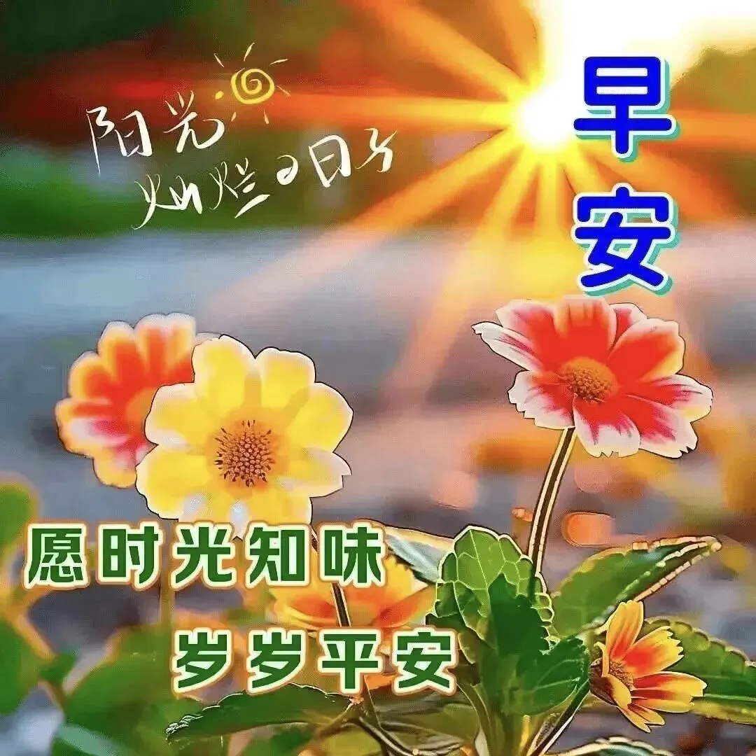 九月初一早上好,送你15张漂亮早安祝福图片,愿好运加倍,喜乐长久,岁岁平安-第7张图片-四季读书网