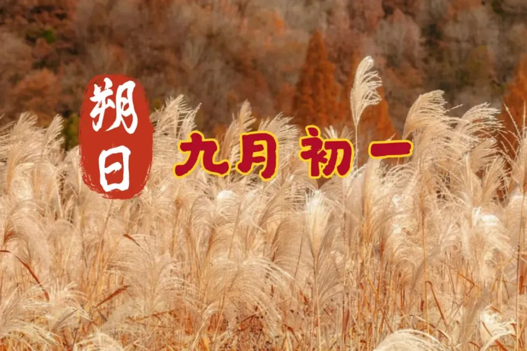 今日九月初一|朔日开新,老辈人说“1要敬,2不办,3要吃”,寓意福寿绵长,诸事顺遂-第1张图片-四季读书网