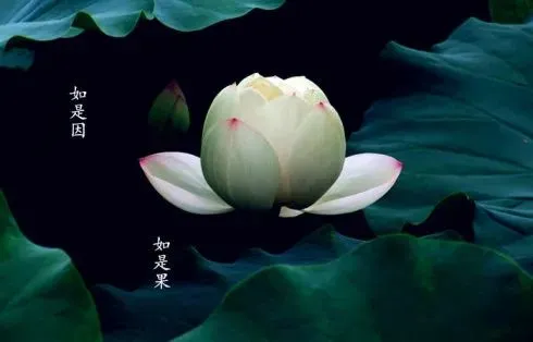 今日初一,每天读三遍,连续7天,你的命会越来越好!(非常灵验)-第2张图片-四季读书网