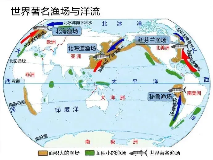 高考地理:寒流与暖流-第9张图片-四季读书网