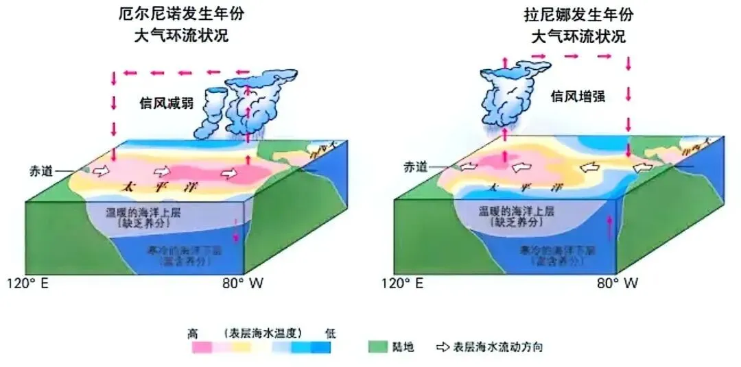 高考地理:寒流与暖流-第13张图片-四季读书网