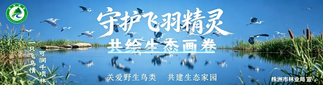 株洲高考报名时间定了-第3张图片-四季读书网 株洲高考报名时间定了-第3张图片-四季读书网