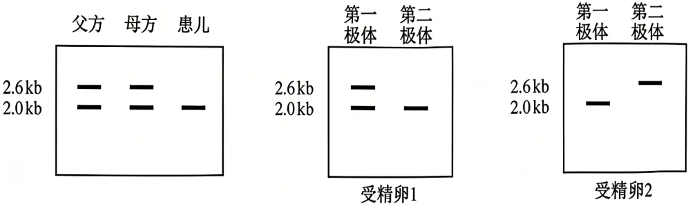 2026安徽高考(试卷+答案)-第6张图片-四季读书网 2026安徽高考(试卷+答案)-第6张图片-四季读书网