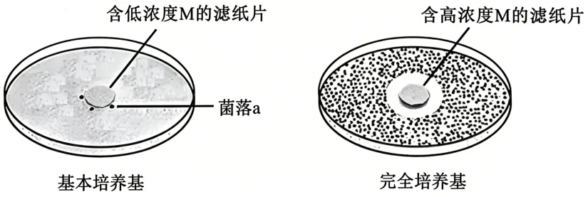 2026安徽高考(试卷+答案)-第7张图片-四季读书网 2026安徽高考(试卷+答案)-第7张图片-四季读书网