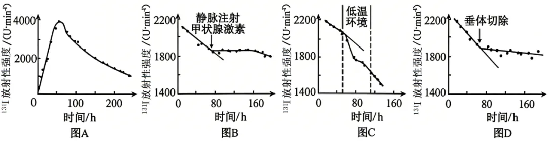 2026安徽高考(试卷+答案)-第11张图片-四季读书网 2026安徽高考(试卷+答案)-第11张图片-四季读书网
