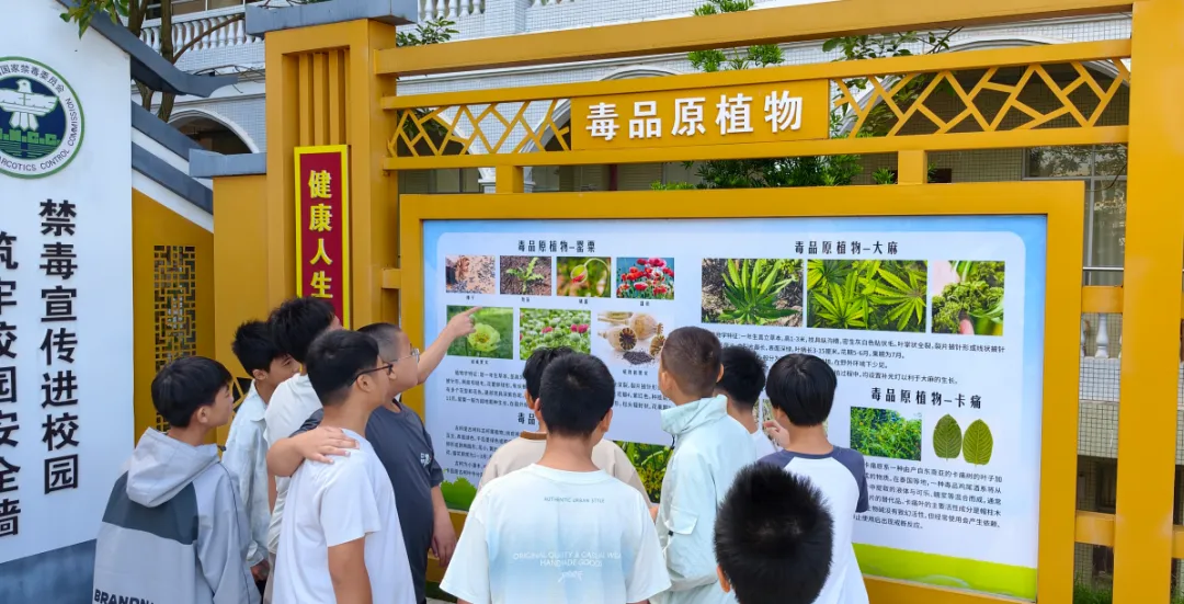 拒毒护青春!容县中学组织初一学生开展禁毒宣传教育活动-第4张图片-四季读书网 拒毒护青春!容县中学组织初一学生开展禁毒宣传教育活动-第4张图片-四季读书网