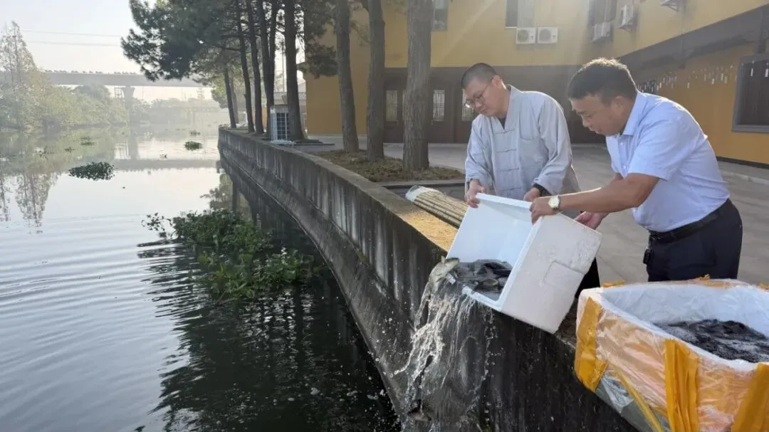 【无缘大慈-同体大悲】丙午年农历九月初一护生画集:晨鸡-第8张图片-四季读书网 【无缘大慈-同体大悲】丙午年农历九月初一护生画集:晨鸡-第8张图片-四季读书网