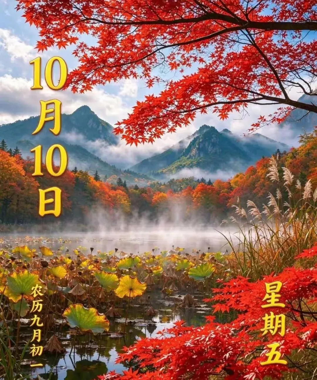 九月初一逢 10 月 10 日,秋意渐深,收下这份秋日暖心祝福-第4张图片-四季读书网 九月初一逢 10 月 10 日,秋意渐深,收下这份秋日暖心祝福-第4张图片-四季读书网