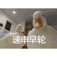 2027高考报名+香港本科招生10月全面启动!速申早轮~-第1张图片-四季读书网 2027高考报名+香港本科招生10月全面启动!速申早轮~-第1张图片-四季读书网