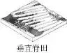 河北省多校2026届高三下学期第二次模拟考试地理试卷-第7张图片-四季读书网 河北省多校2026届高三下学期第二次模拟考试地理试卷-第7张图片-四季读书网