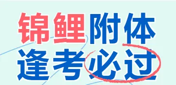 2026年成人高考提分技巧-第15张图片-四季读书网