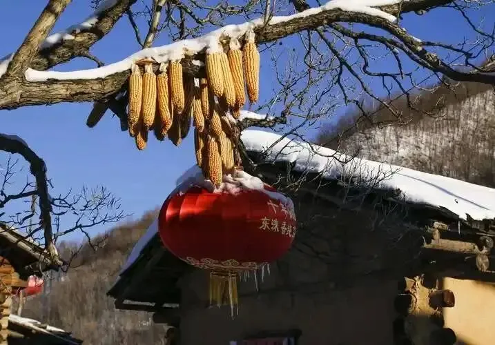 ＂初一三不出,到头一场空＂!今日九月初一朔日,＂三不出＂指啥?-第5张图片-四季读书网