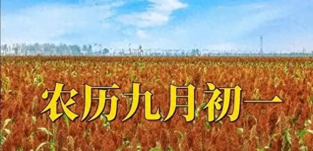 “初一4不吃,福气不进门”,今日九月初一,牢记:4吃,3不吃,聚福迎祥,为家人讨个好彩头,平安美满度秋日-第1张图片-四季读书网 “初一4不吃,福气不进门”,今日九月初一,牢记:4吃,3不吃,聚福迎祥,为家人讨个好彩头,平安美满度秋日-第1张图片-四季读书网