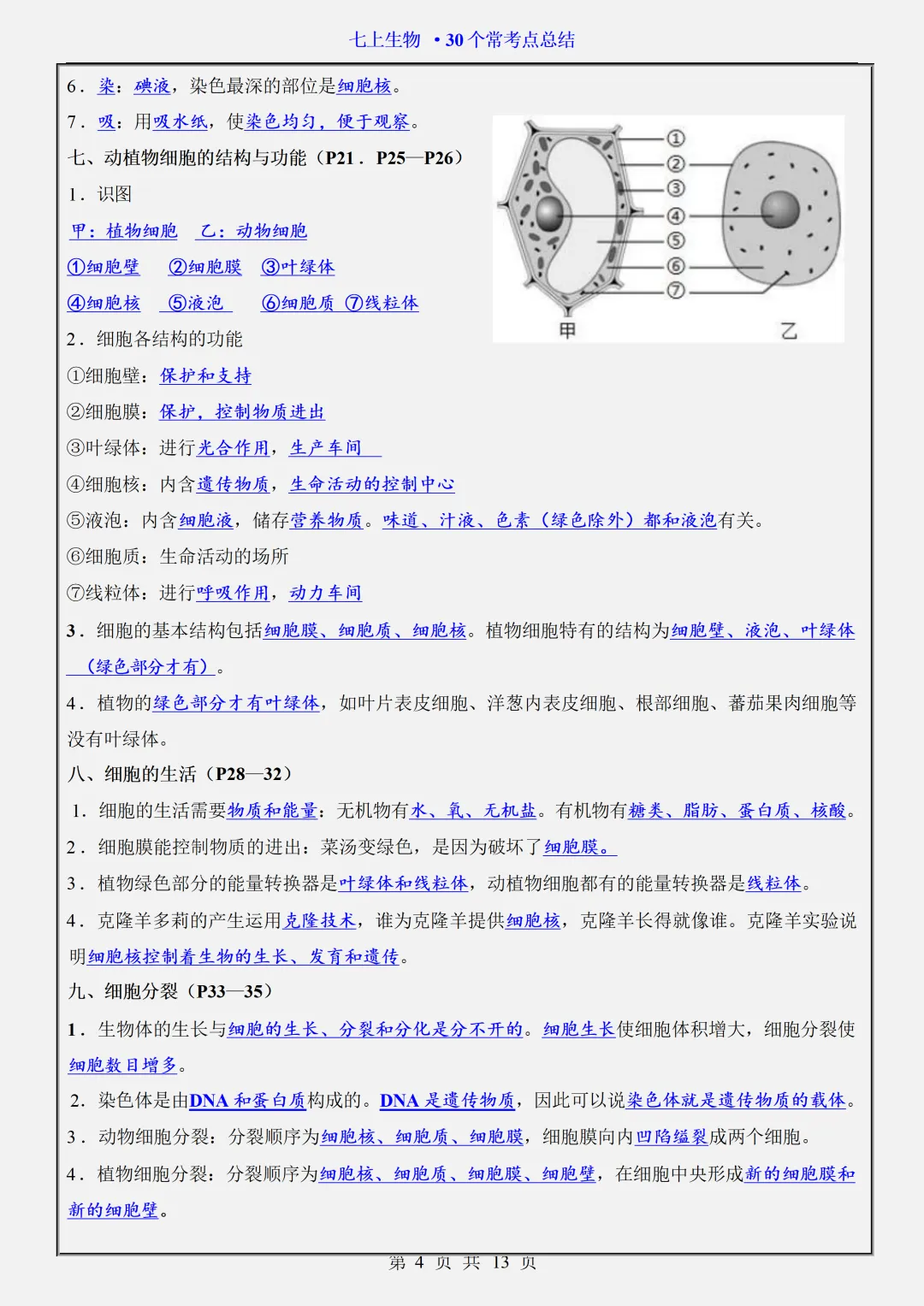 初一2026新版七年级上册生物全册必背考点题型知识点总结(电子版可打印)-第5张图片-四季读书网 初一2026新版七年级上册生物全册必背考点题型知识点总结(电子版可打印)-第5张图片-四季读书网