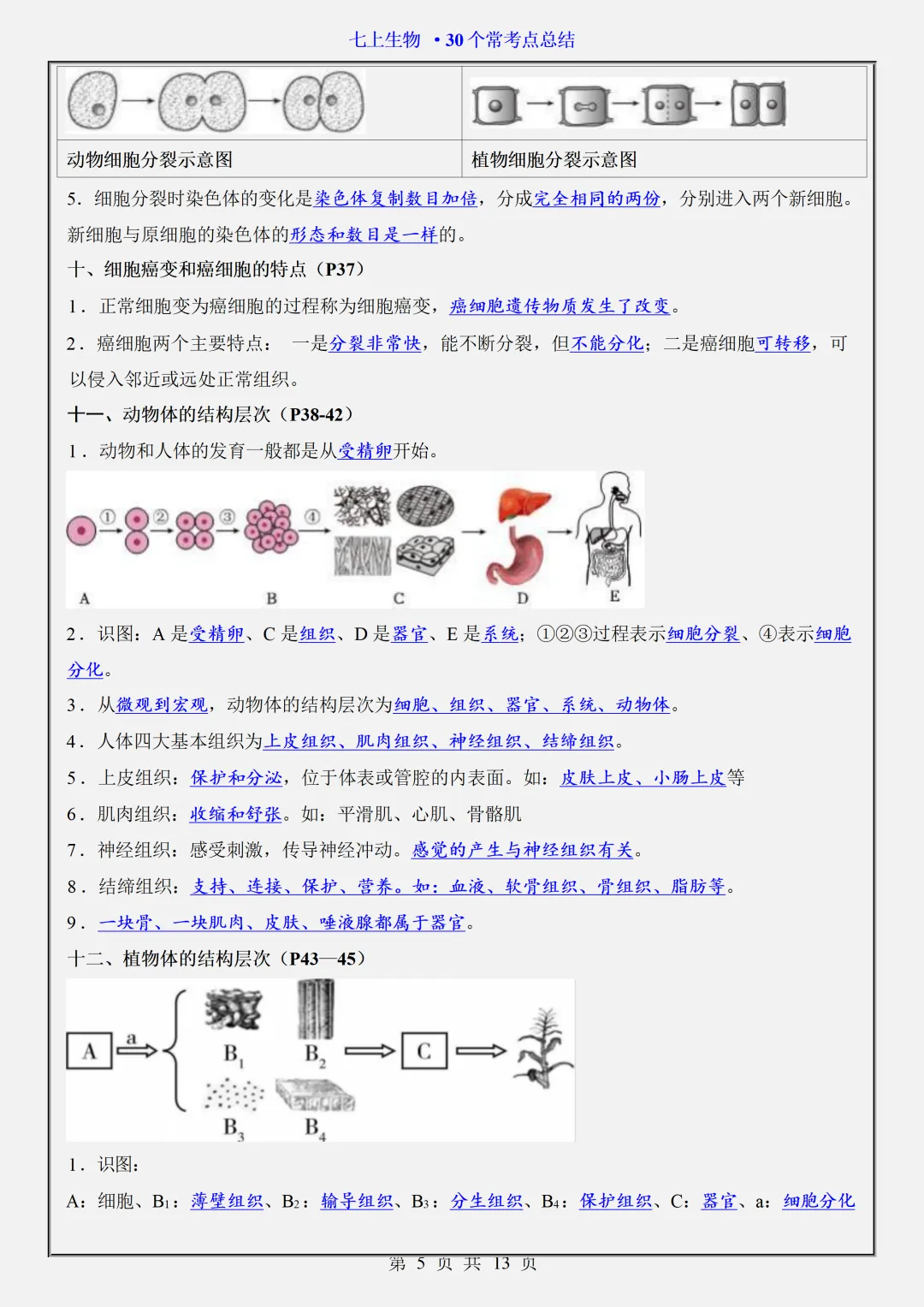初一2026新版七年级上册生物全册必背考点题型知识点总结(电子版可打印)-第6张图片-四季读书网 初一2026新版七年级上册生物全册必背考点题型知识点总结(电子版可打印)-第6张图片-四季读书网