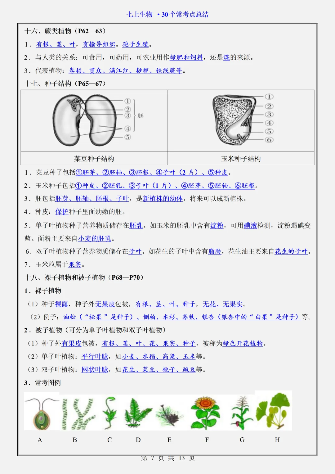 初一2026新版七年级上册生物全册必背考点题型知识点总结(电子版可打印)-第8张图片-四季读书网 初一2026新版七年级上册生物全册必背考点题型知识点总结(电子版可打印)-第8张图片-四季读书网