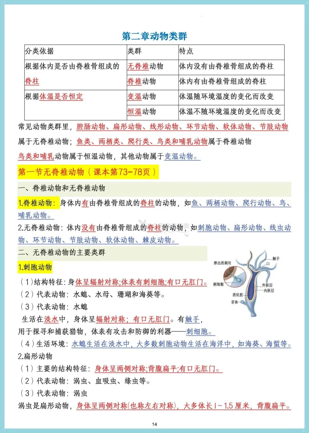初一生物|2026年七年级上册生物课内重点核心知识汇总,可打印!-第9张图片-四季读书网
