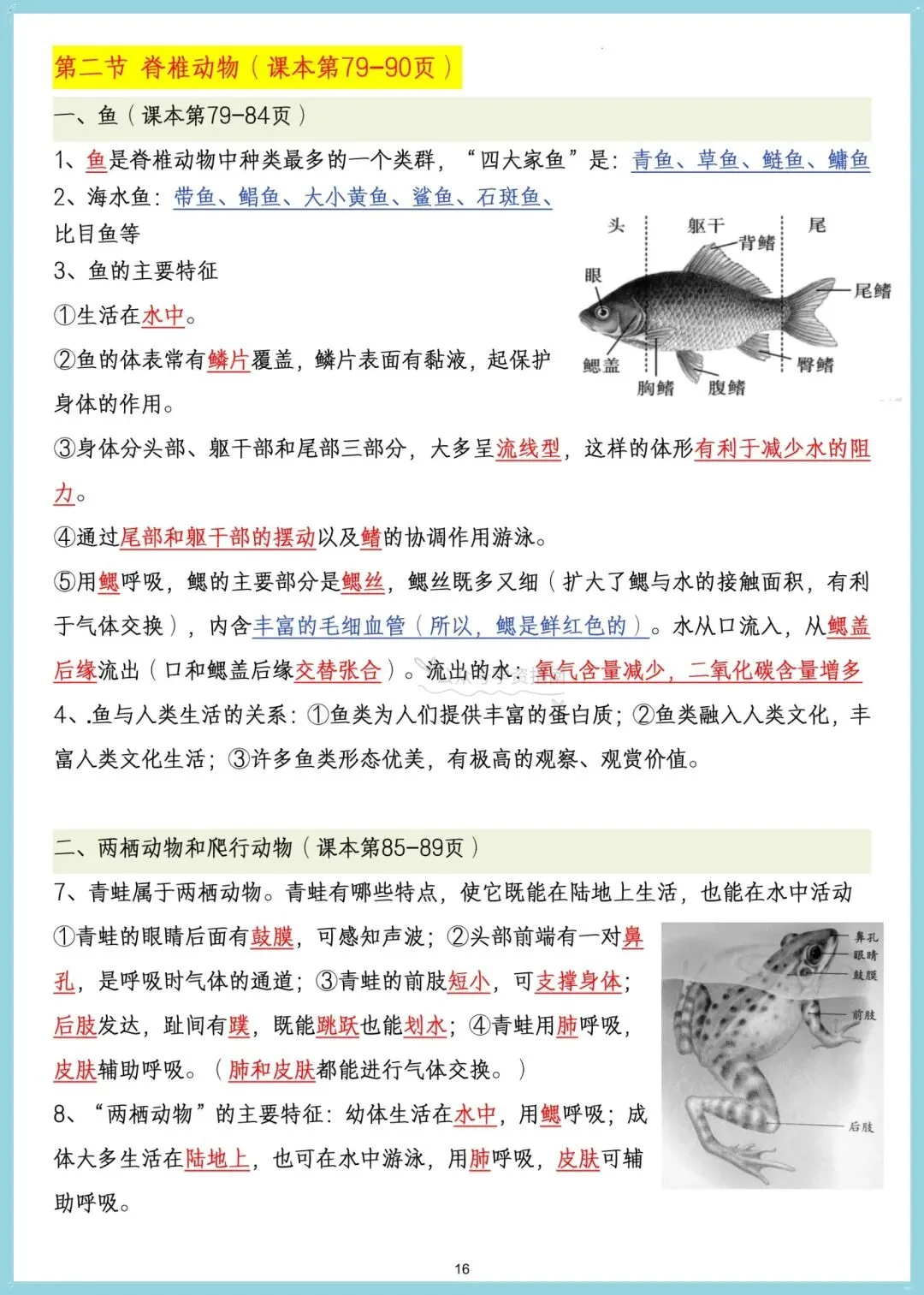 初一生物|2026年七年级上册生物课内重点核心知识汇总,可打印!-第10张图片-四季读书网