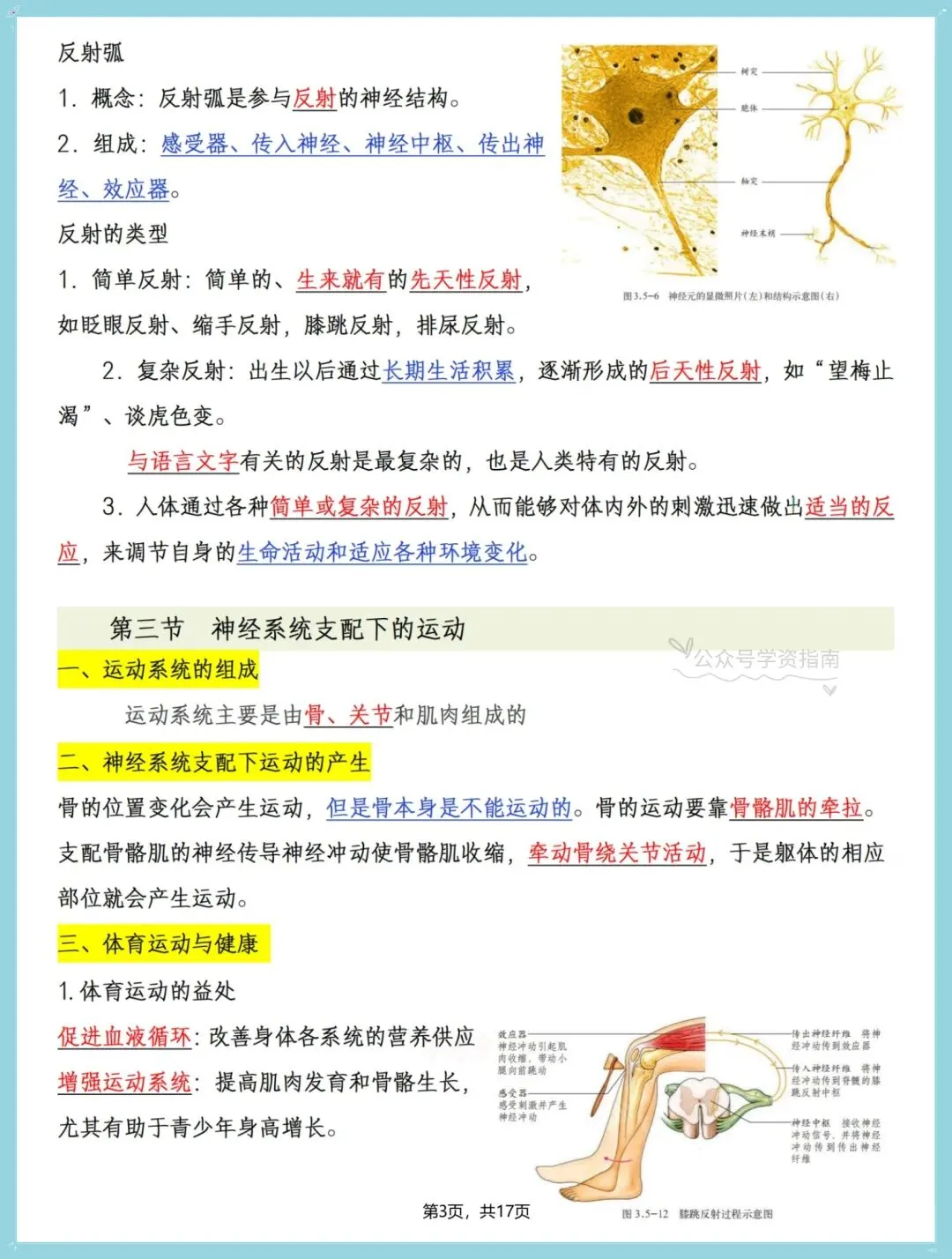 初二生物|2026年八年级上册生物全册重点知识点汇总,期中复习必背!-第5张图片-四季读书网 初二生物|2026年八年级上册生物全册重点知识点汇总,期中复习必背!-第5张图片-四季读书网