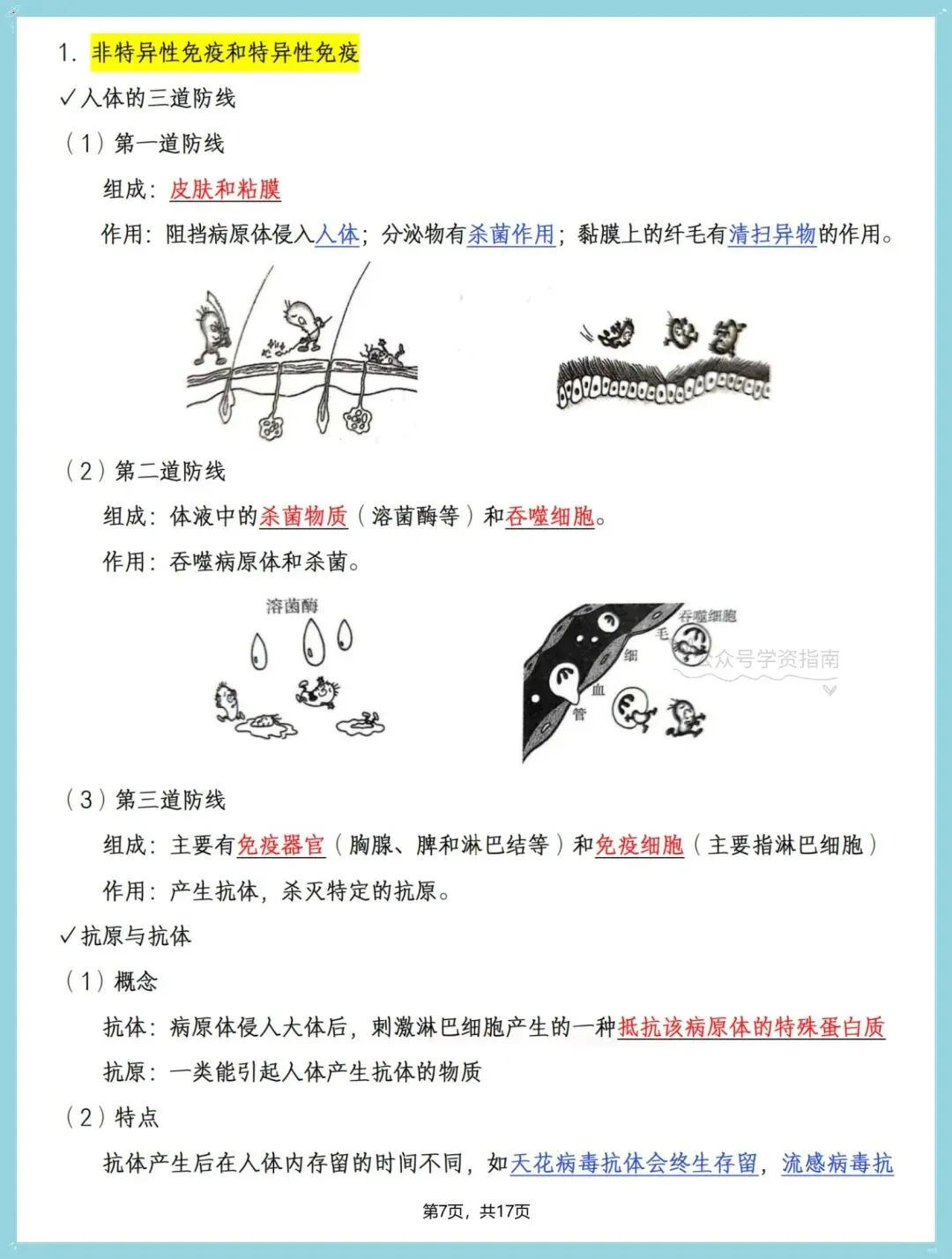 初二生物|2026年八年级上册生物全册重点知识点汇总,期中复习必背!-第7张图片-四季读书网 初二生物|2026年八年级上册生物全册重点知识点汇总,期中复习必背!-第7张图片-四季读书网