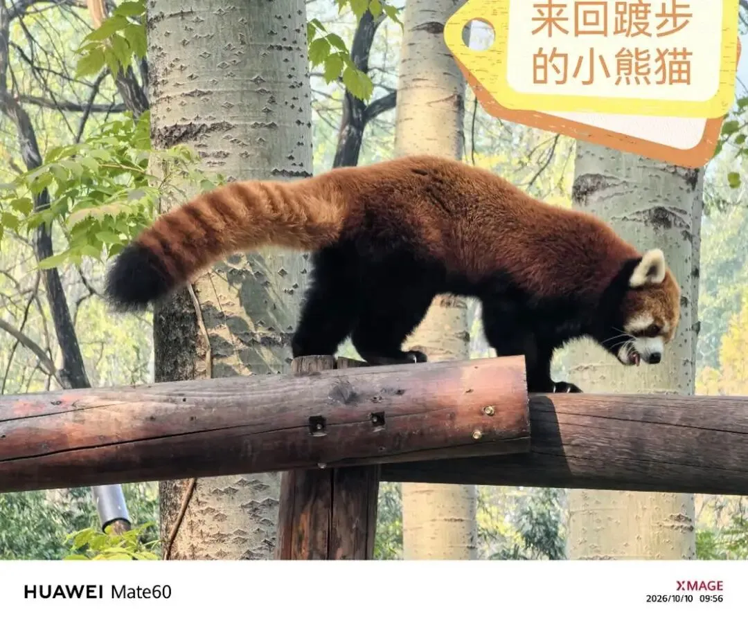 距离2027高考还有240天-第5张图片-四季读书网