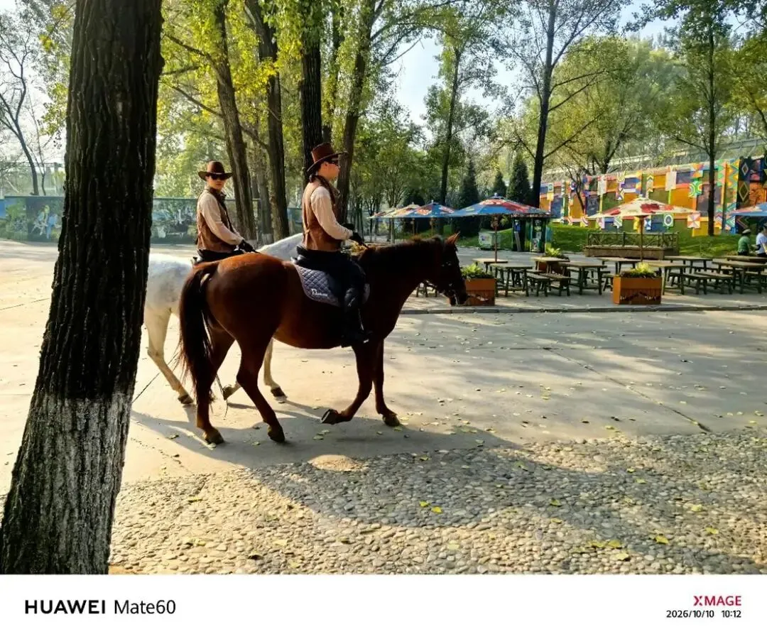 距离2027高考还有240天-第8张图片-四季读书网
