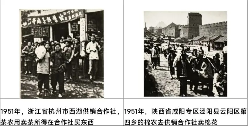 2026年高考各省市历史选择题(现代史1)-第3张图片-四季读书网