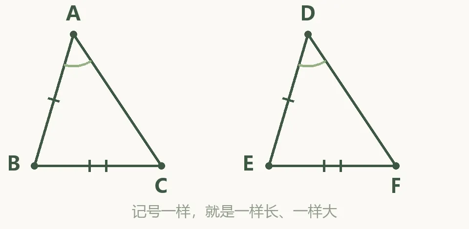 初二上册【数学】丨能看懂,写不出? 全等证明,就这四步的事-第1张图片-四季读书网