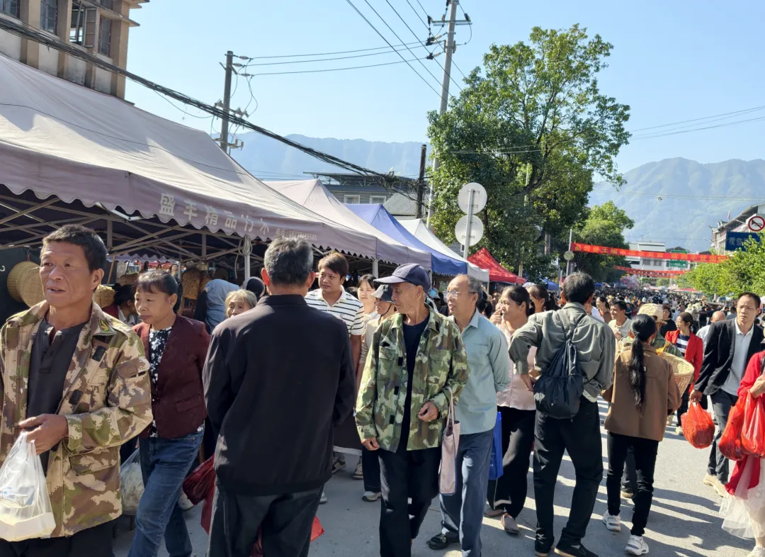 10万人赶九月初一“婆王节”庙会,小编带你直击观音阁热闹场面-第4张图片-四季读书网 10万人赶九月初一“婆王节”庙会,小编带你直击观音阁热闹场面-第4张图片-四季读书网