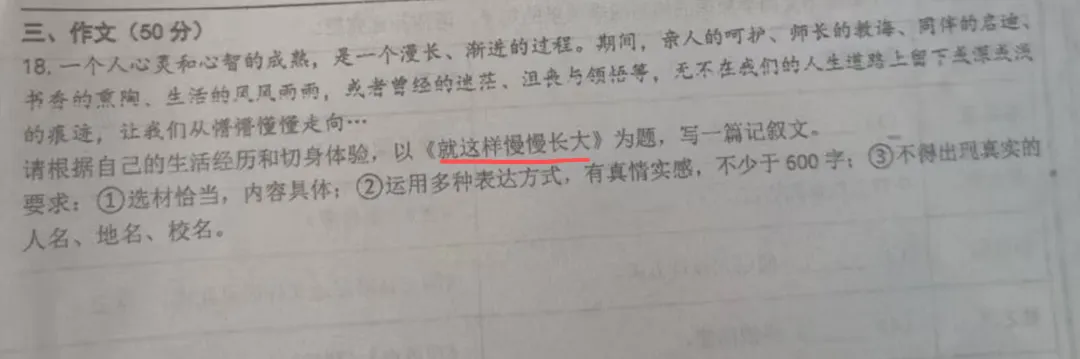 2026年七年级第一学期 李沧试卷作文题目《就这样慢慢长大》解析及范文-第1张图片-四季读书网