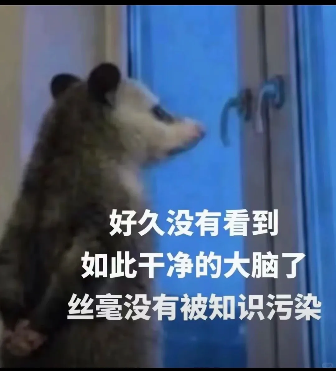 速测!3+证书考试模拟卷来了!能考过平均分你就赢了近11万考生!-第35张图片-四季读书网 速测!3+证书考试模拟卷来了!能考过平均分你就赢了近11万考生!-第35张图片-四季读书网