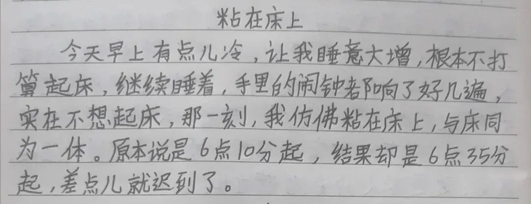 初三 第六周-第2张图片-四季读书网