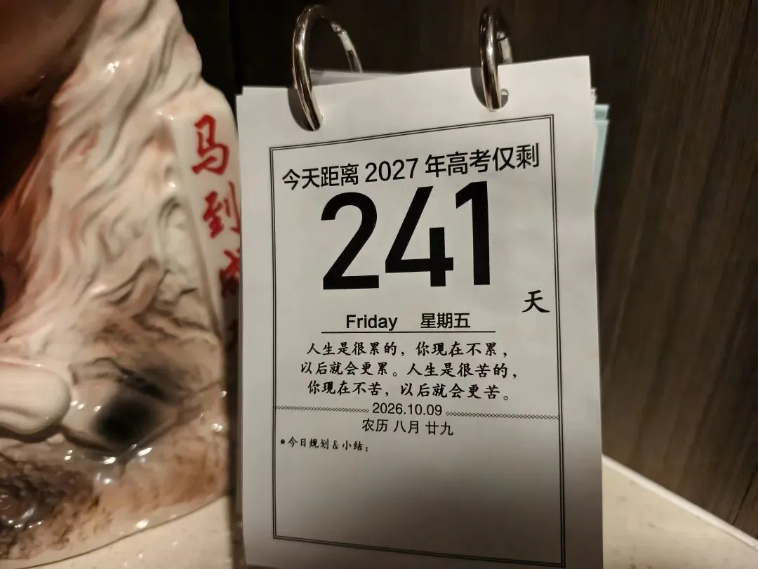 高考倒计时241:周末没有作业,高三的闺女绝对自由-第1张图片-四季读书网
