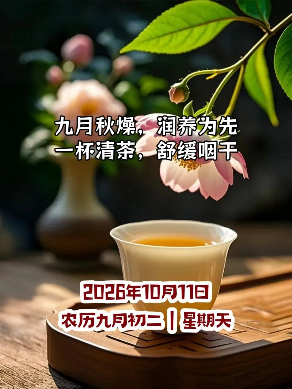 老话说＂九月初二雨,棉花泪汪汪＂,今天九月初二,这句老话啥道理?-第1张图片-四季读书网