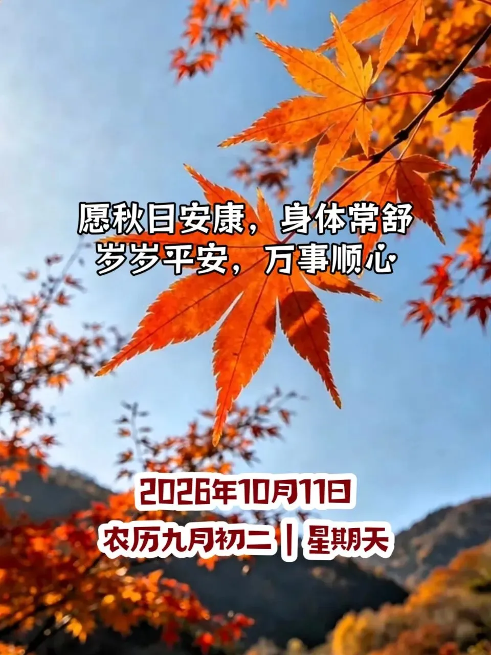 老话说＂九月初二雨,棉花泪汪汪＂,今天九月初二,这句老话啥道理?-第3张图片-四季读书网