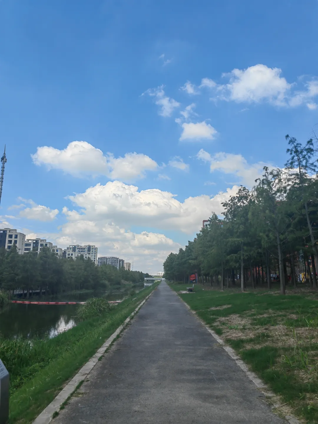九月初一“露侵衣”,芳草萋萋新月迟-第3张图片-四季读书网