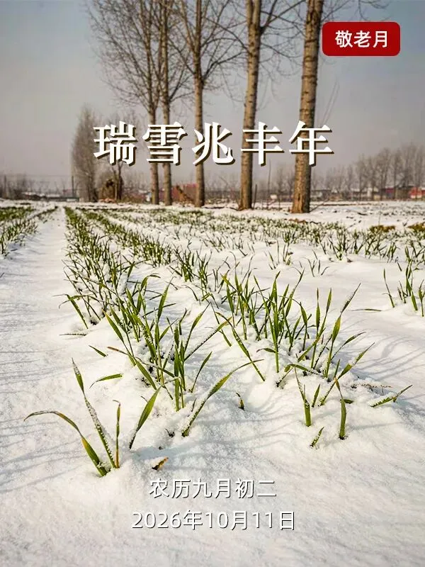 九月初二早看天,一年不用问神仙!老话说“不怕初一淋,就怕初二阴”,今年冬天冷不冷?-第2张图片-四季读书网 九月初二早看天,一年不用问神仙!老话说“不怕初一淋,就怕初二阴”,今年冬天冷不冷?-第2张图片-四季读书网