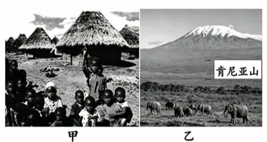 打卡真题|非洲(Day 235)-第5张图片-四季读书网 打卡真题|非洲(Day 235)-第5张图片-四季读书网