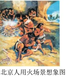 7上历史第一次检测试卷(1-6课)含答案-第2张图片-四季读书网