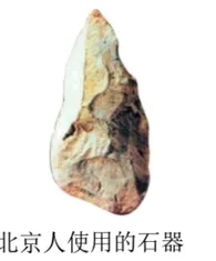7上历史第一次检测试卷(1-6课)含答案-第4张图片-四季读书网