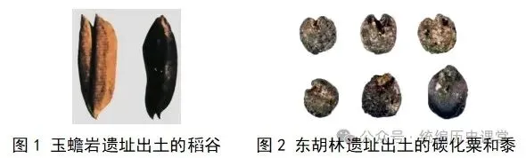 7上历史第一次检测试卷(1-6课)含答案-第14张图片-四季读书网